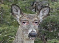 IMG_8475.jpeg