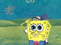 Spongebob-salute-meme-5.jpg