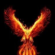phoenix511